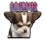 856882540
