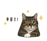 856883038