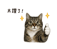 856883040
