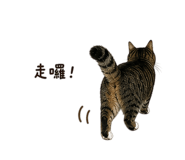 856883043