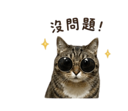856883049