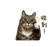 856883055