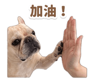 856883096