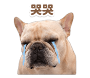856883099