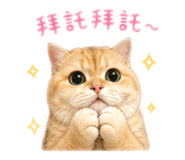 856883325
