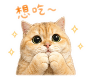 856883329