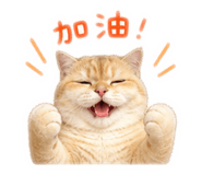 856883332