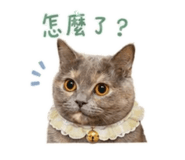 856885519