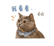 856885522