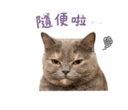 856885524