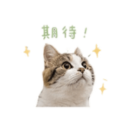 856887430