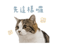 856887436