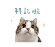 856887437