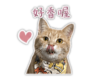 856888904
