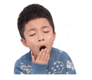 856889629