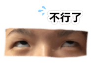 856890618