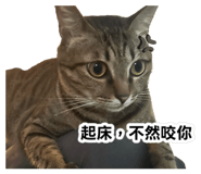 856890624