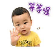 856894662