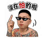 856895117