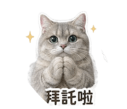 856896427