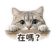 856896440