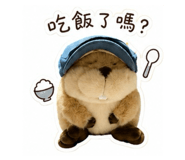 856896477