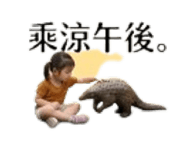 856897688