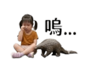 856897696