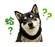 856899188
