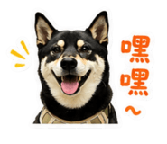 856899190