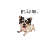 856899237