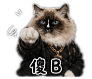 856899961