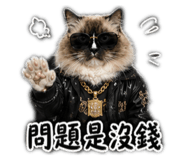 856899971
