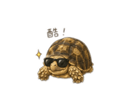 856900565
