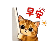 856901129