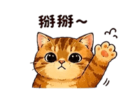 856901145