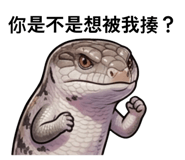 856901445