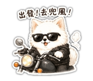 856902626