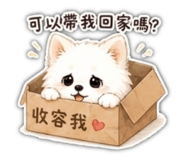 856902636