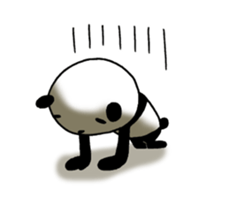 8569047