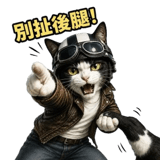 856904706