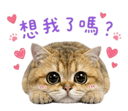 856904968