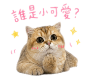 856904973