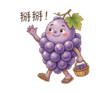 856906374