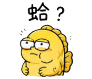856906511