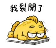 856906516