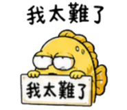 856906527