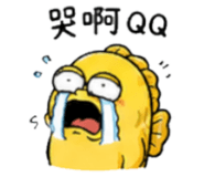856906530