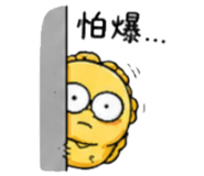 856906531