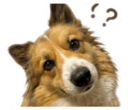 856907398